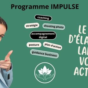 Programme IMPULSE